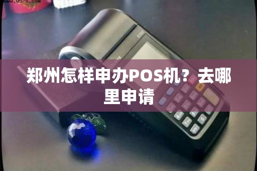 叶州POS机申请指南，如何顺利办理并使用？