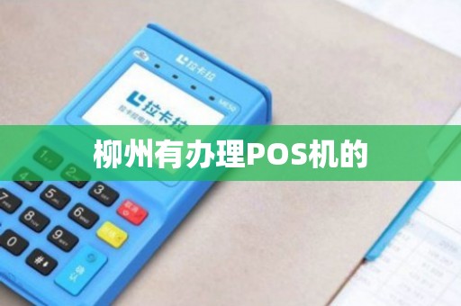 柳州POS机，高效便捷，推动商业新纪元