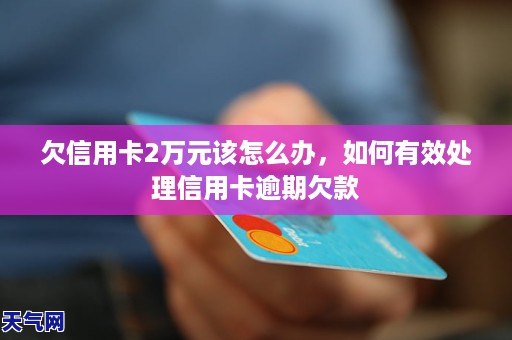 在现代社会，信用卡已经成为了人们生活中不可或缺的一部分。无论是购物、旅游还是日常消费，信用卡都能为我们提供便捷的支付方式。而在POS机上进行刷卡消费，也成为了许多人的选择。然而，有时候我们会发现，自己的JCB卡无法在POS机上刷出金额，这究竟是怎么回事呢？本文将以jcb的卡怎么刷pos机为主题，为大家解答这一问题。