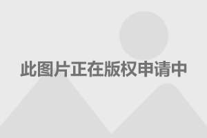 在现代商业活动中，POS(Point of Sales)机已经成为了交易的主要平台。无论是线上还是线下的交易，都离不开POS机的帮助。然而，有时候在使用过程中，可能会出现一些问题，比如订单重打。那么，如果遇到了这种情况，我们应该如何操作呢？本文将围绕pos机重打订单怎么操作这一主题展开讨论，希望能够帮助到大家。