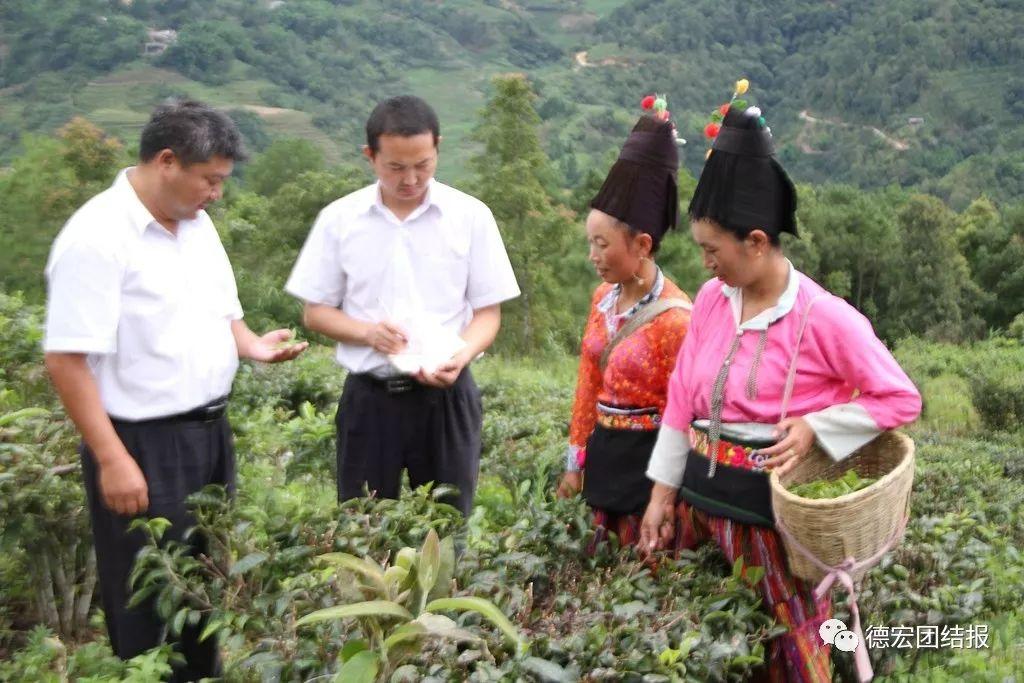 探究POS机的利率，如何查询及影响因素分析