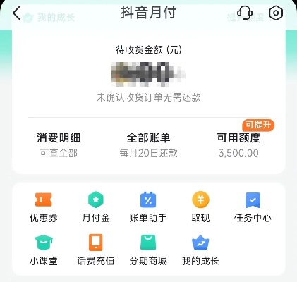 探索抖音月付套出来的钱的奥秘，如何使用抖音月付功能赚取现金？