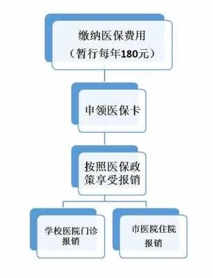 医保取现怎么取，详解医保卡取现操作流程及注意事项