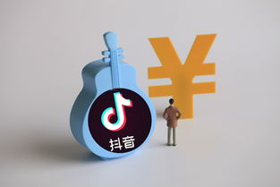 抖音月付秒套出来一般多少钱一天？揭秘抖音月付功能背后的风险与操作