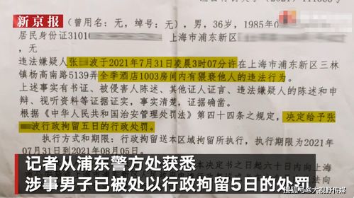 酒店给查监控记录，保障客户安全与隐私的平衡之道