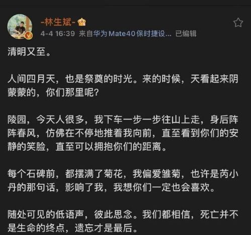 酒店悬案记录查询攻略，揭秘神秘事件背后的真相