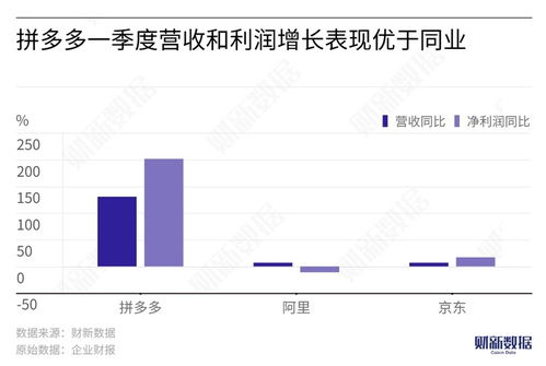 林州市拼多多先用后付套出来公司，新型消费模式背后的风险与挑战