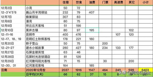 南京查消费记录酒店，一份详细的消费清单