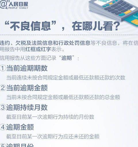 深入探讨，如何有效查询酒店的信用记录与信誉评估