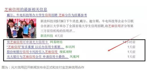 深入探讨，如何有效查询酒店的信用记录与信誉评估