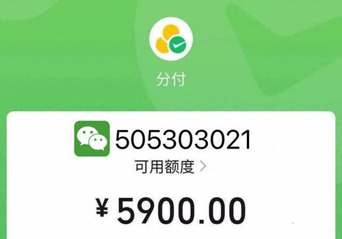 广州微信分付线下套出来，一种便捷的支付方式