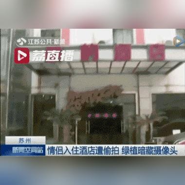 如何查酒店入住视频记录