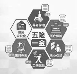 住房公积金取现后，如何合理利用这笔资金？