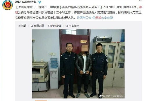 德州警察查酒店记录查询，揭开神秘面纱的一瞥