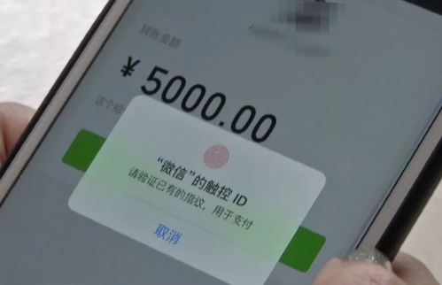 微信分付套出来5个点的钱怎么算——揭开金融套利的神秘面纱