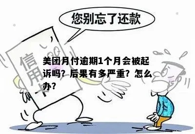 长春美团月付套出来，违法犯罪问题