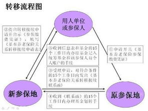 宁波公积金转移取现指南，了解流程，轻松办理