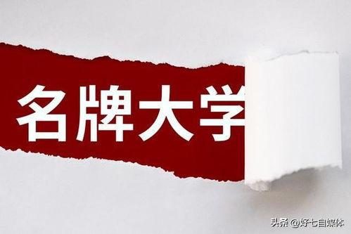 美团月付套出来费用，警惕陷阱，理性消费