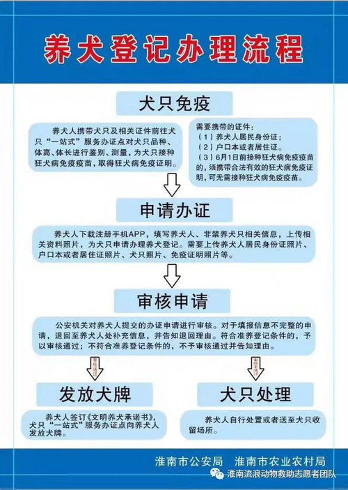 河北廊坊医保取现攻略，如何办理、流程及注意事项