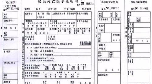 河北廊坊医保取现攻略，如何办理、流程及注意事项