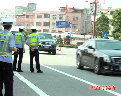 广西交警查酒店违法记录