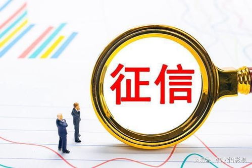 揭秘美团月付套现背后，举报途径与注意事项