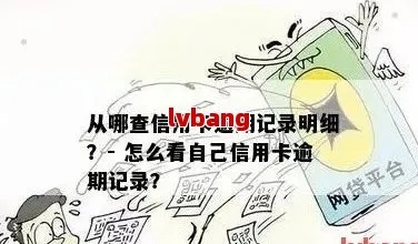 揭秘淘宝查酒店开房记录查询，安全与合法的背后