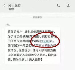 揭秘美团月付额度获取攻略，轻松提升你的消费体验！