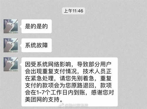 郑州美团月付套出来秒回，揭秘这一神秘支付工具的真相与风险