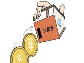 无自由住房公积金取现，原因、影响与解决办法