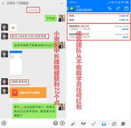 美团月付秒套价格及风险解析