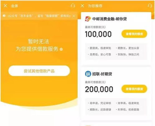 揭秘京东企业金采金额套出来的神秘操作与技巧