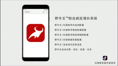 揭秘京东企业金采金额套出来的神秘操作与技巧