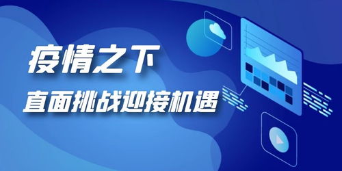 京东企业金采24小时套出来，实现财务自由的新途径