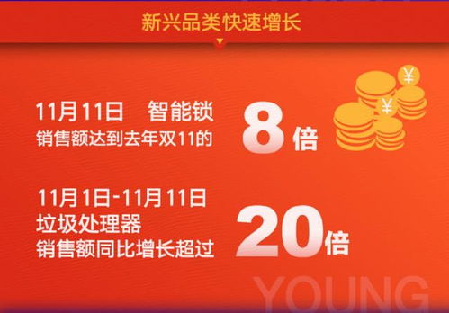 京东企业金采套现指南，如何安全、快速地获取金采资金？