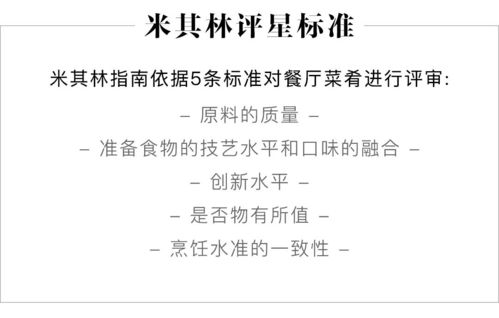 详细指南，如何在酒店行业中有效记录和查询工作经历