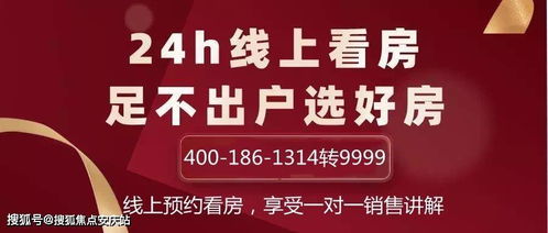 重庆京东企业金采24小时套价格解析