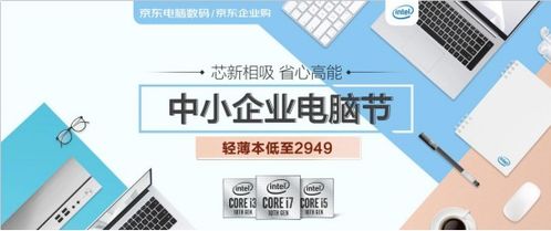 京东企业金采买什么可以套出来呢安全吗？——揭秘京东企业金采的实际用途与安全性