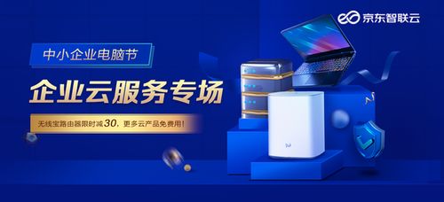 京东企业金采买什么可以套出来呢安全吗？——揭秘京东企业金采的实际用途与安全性