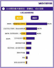 揭秘酒店行业内幕，如何有效查询并追踪客人吸烟记录