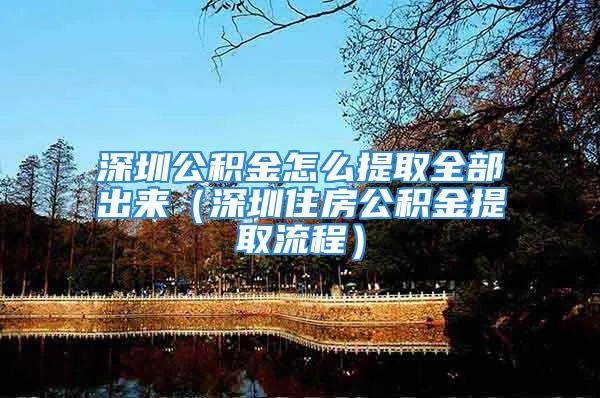 深圳公积金全额取现攻略，详细步骤与注意事项