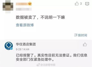 揭秘酒店记录查询，如何获取您的住宿历史与信息