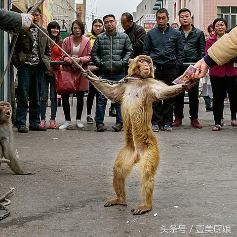 揭秘快手先用后付，如何套出来，让你轻松赚钱！