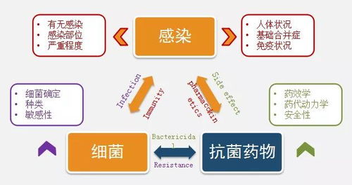 深入解析如何巧妙利用快手先用后付功能实现自我套现？