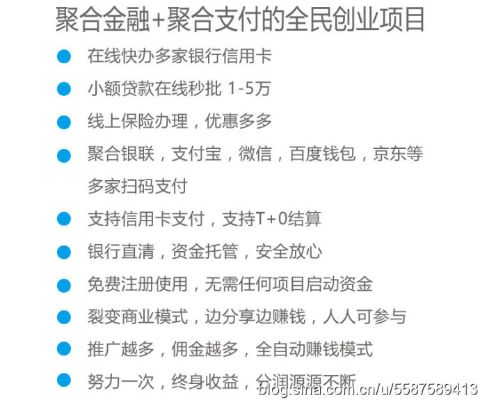 深度解析pos机合利宝视频背后的商业模式与发展趋势