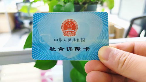 吴中区医保可以取现吗？——医保卡的金融功能解析与实际操作指南