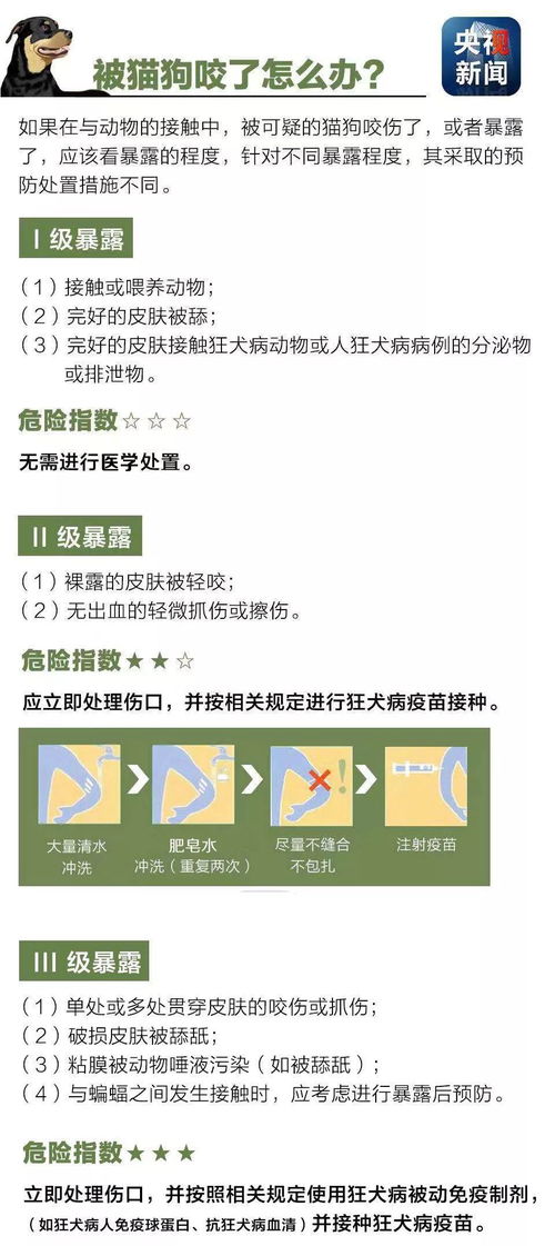 转转分期套出来口子真的假的？揭秘分期购物背后的真相