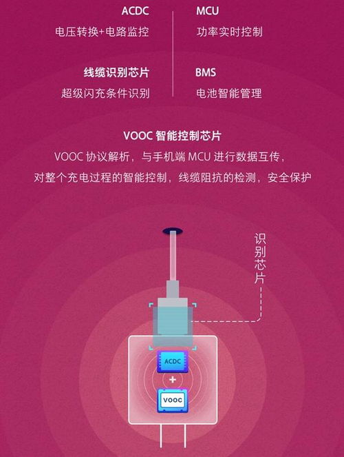 转转分期怎么秒套出来啊安全吗？——揭开转转分期背后的真相