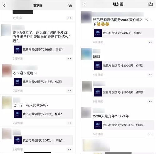 转转分期套出来秒回微信背后的真相