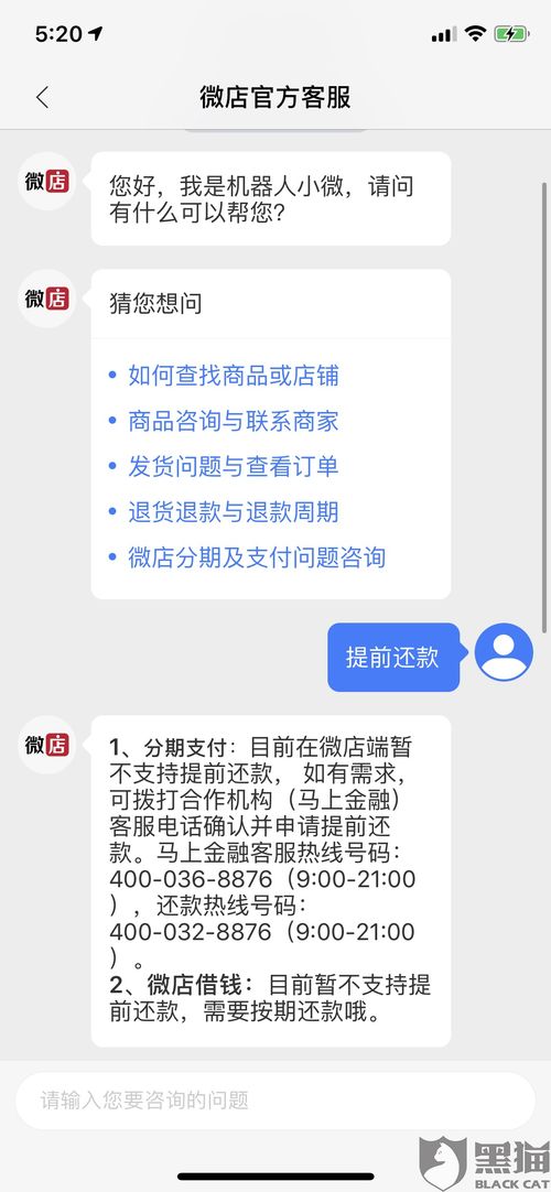 微店放心花额度如何套出来——违法犯罪行为解析